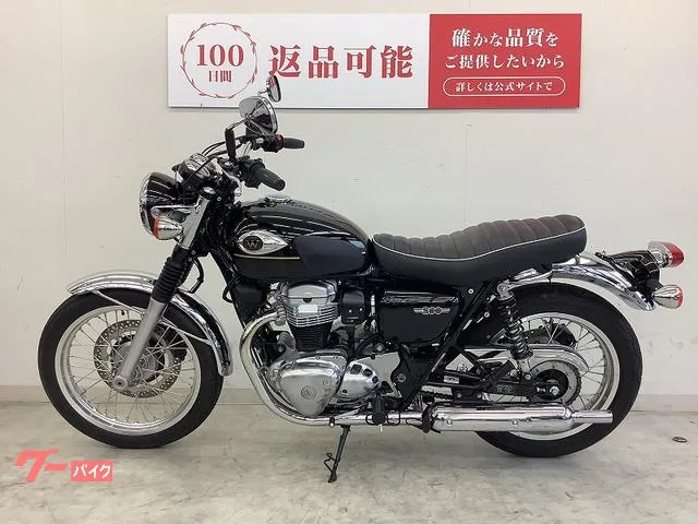 Kawasaki W800 2025 — миниатюра 5