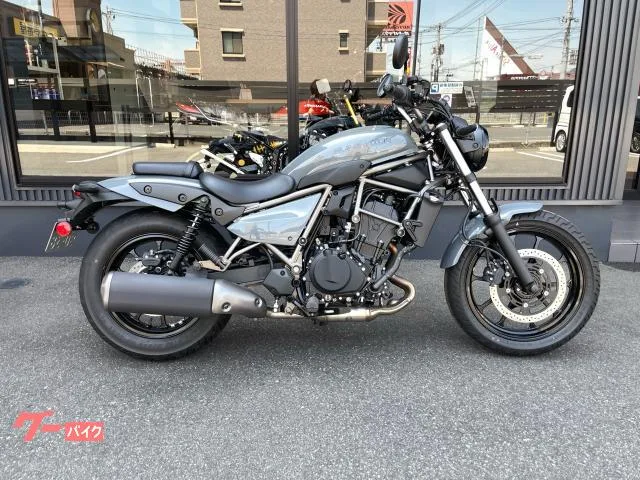 Kawasaki 400/PLAZA EDITION 2025 — фото 1, купить с доставкой в Москву