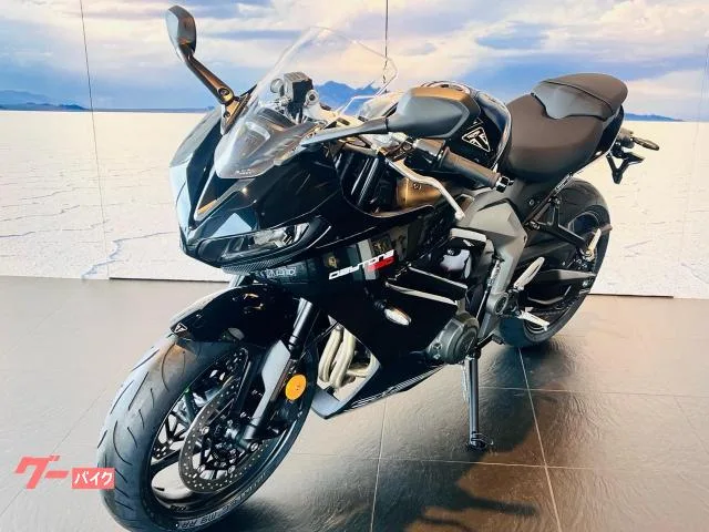 TRIUMPH 660 2026 — миниатюра 2