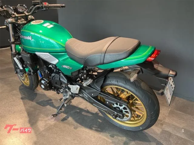 Kawasaki Z650RS BEET 2023 — миниатюра 2