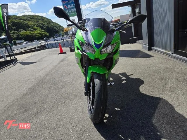 Kawasaki Ninja 650 ABS ETC 2026 — миниатюра 3