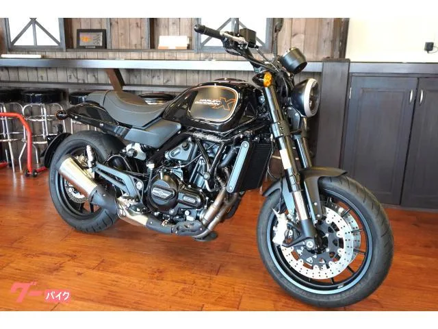 HARLEY-DAVIDSON X500 2024 202612 2024 — фото 1, купить с доставкой в Москву