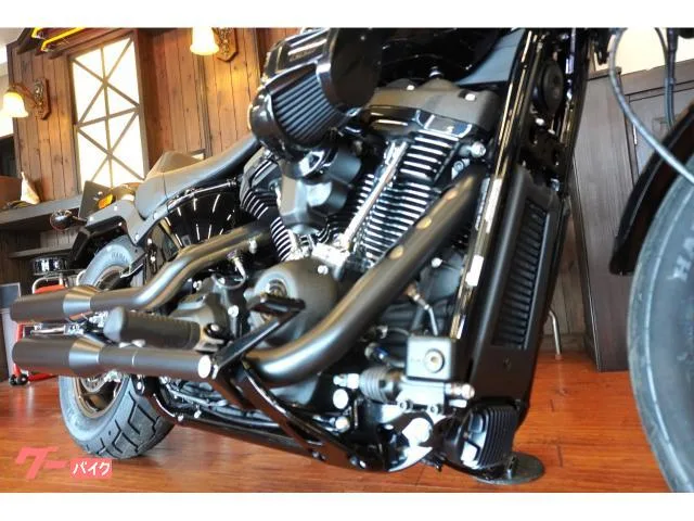 HARLEY-DAVIDSON FXLRS S117 2023 202711 2023 — миниатюра 2