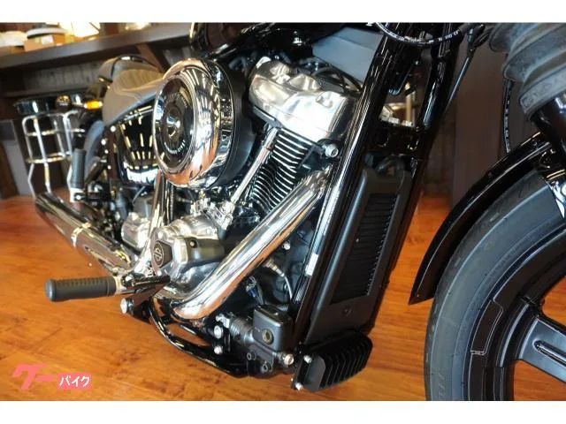 HARLEY-DAVIDSON FXBB 117 20293 2025 — миниатюра 2