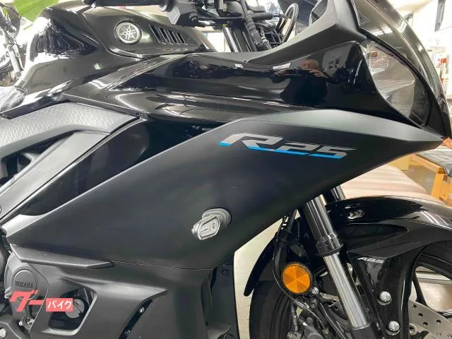 Yamaha YZF-R25 2024 — миниатюра 2