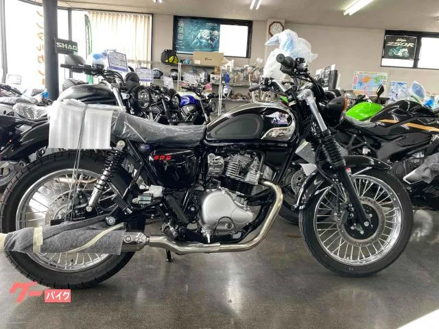 Kawasaki S1 2026 — фото 1, купить с доставкой в Москву