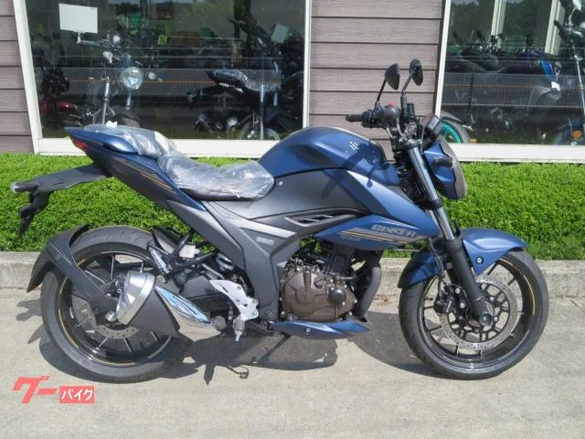 Suzuki GIXXER 250 2023 — фото 1, купить с доставкой в Москву