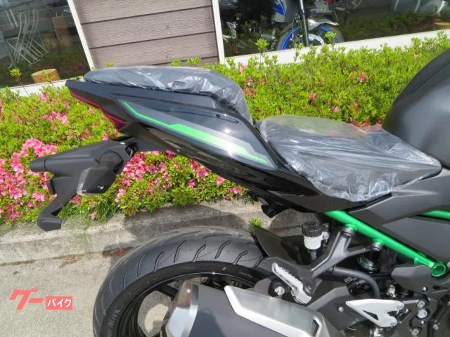 Kawasaki Z250 24 2024 — миниатюра 2