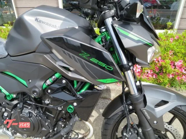 Kawasaki Z250 24 2024 — миниатюра 3
