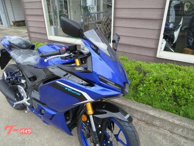 Yamaha YZF-R25 25 2025 — миниатюра 3