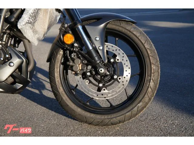 Yamaha MT-25 2022 2022 — миниатюра 3