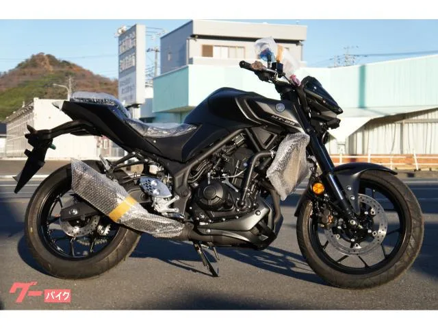 Yamaha MT-25 2022 2022 — фото 1, купить с доставкой в Москву