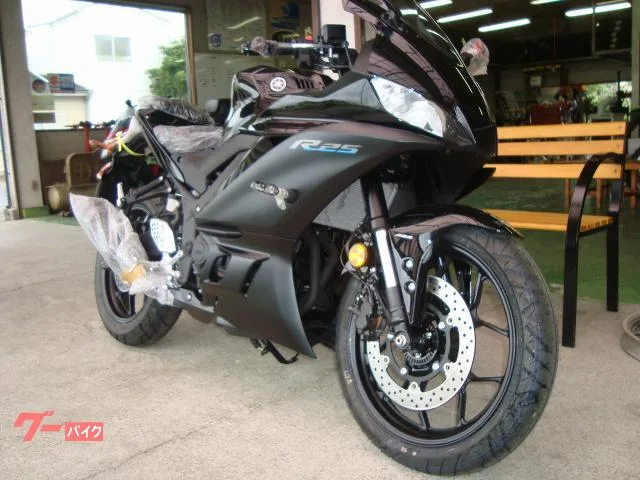 Yamaha YZF-R25 ABS 4 RG74J 2022 — миниатюра 4
