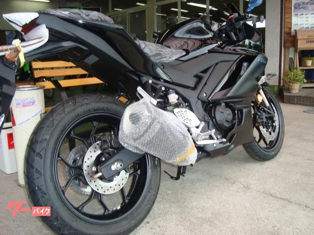 Yamaha YZF-R25 ABS 4 RG74J 2022 — миниатюра 5