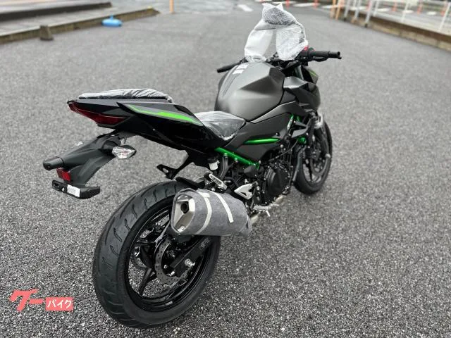Kawasaki Z250 2024 2024 — миниатюра 3
