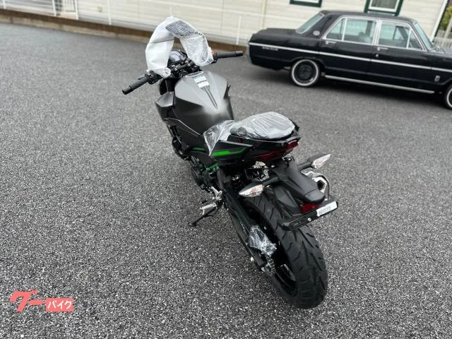 Kawasaki Z250 2024 2024 — миниатюра 5