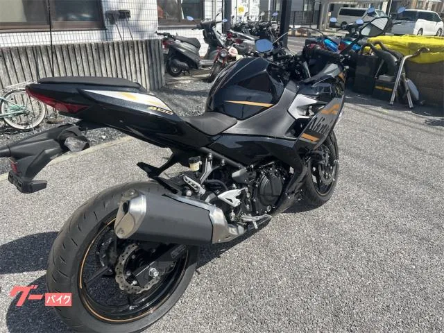 Kawasaki Ninja 400 2023 — миниатюра 3