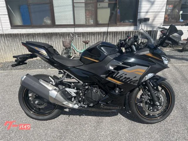 Kawasaki Ninja 400 2023 — фото 1, купить с доставкой в Москву