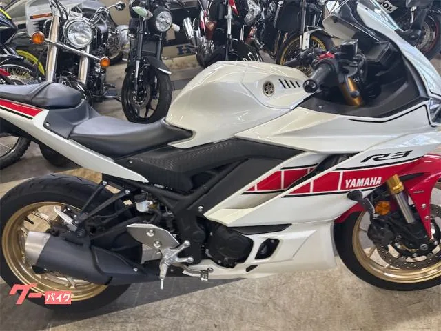 Yamaha YZF-R3 2022 — миниатюра 3