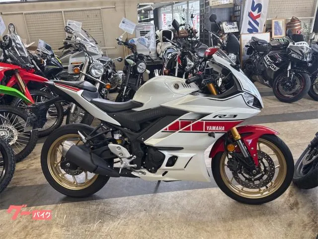 Yamaha YZF-R3 2022 — фото 1, купить с доставкой в Москву