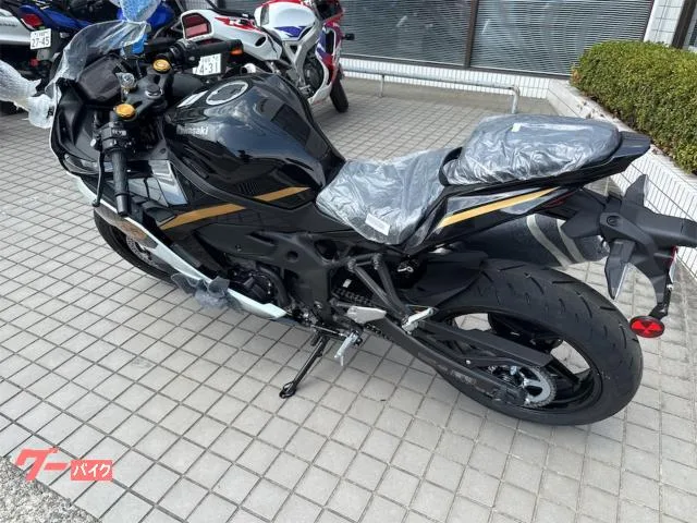 Kawasaki Ninja ZX-4R SE 2026 — миниатюра 2