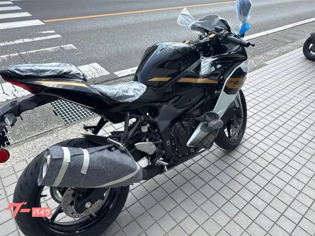Kawasaki Ninja ZX-4R SE 2026 — миниатюра 3