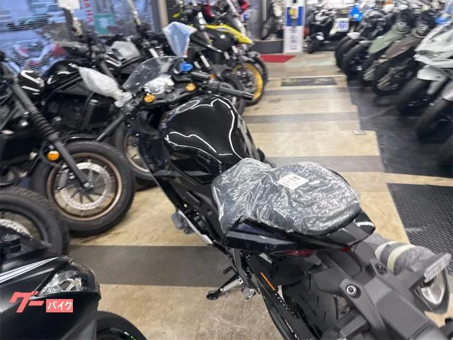 Kawasaki Ninja ZX-4R SE 2026 — миниатюра 2