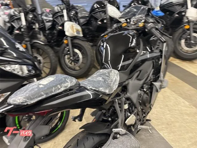 Kawasaki Ninja ZX-4R SE 2026 — миниатюра 4