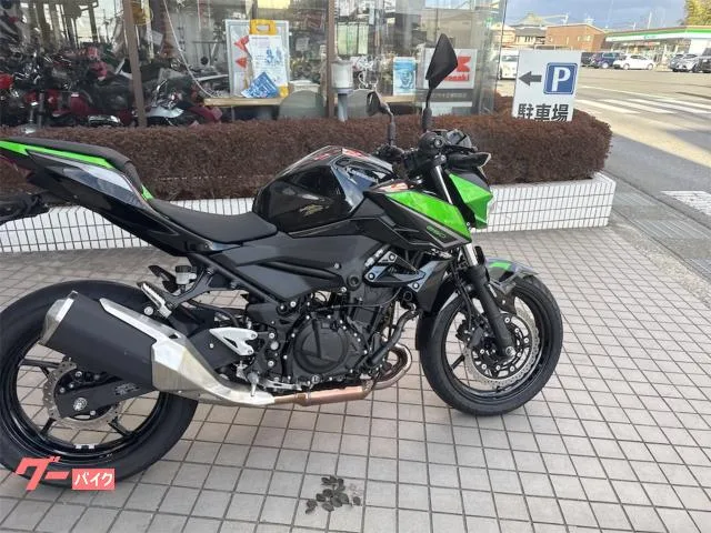 Kawasaki Z250 2023 — миниатюра 3