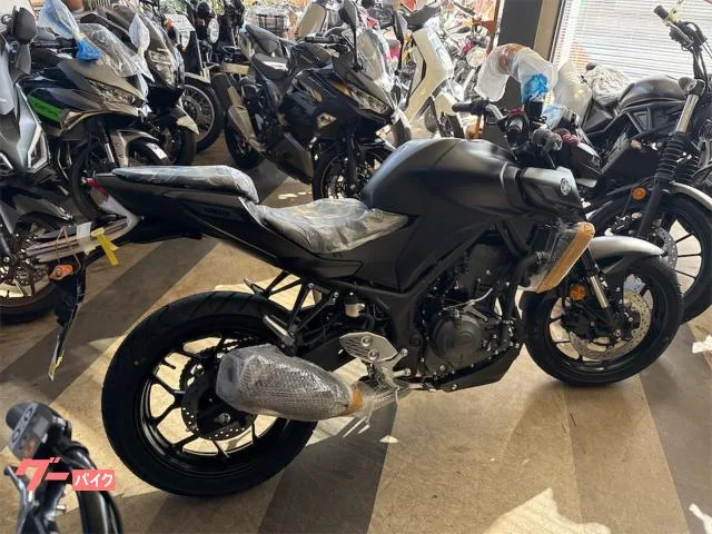 Yamaha MT-25 2026 — миниатюра 3