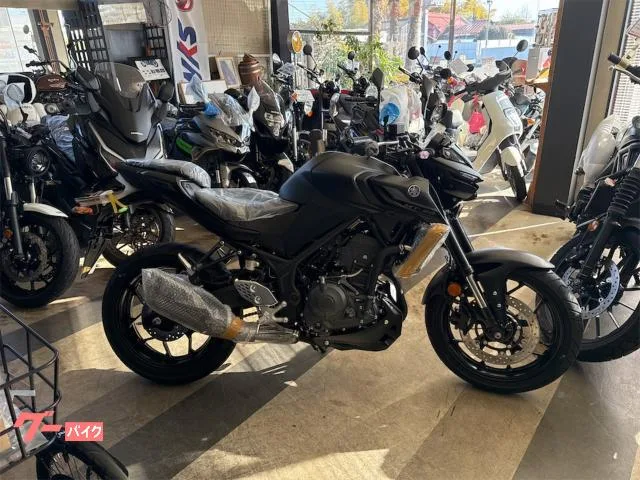 Yamaha MT-25 2026 — фото 1, купить с доставкой в Москву