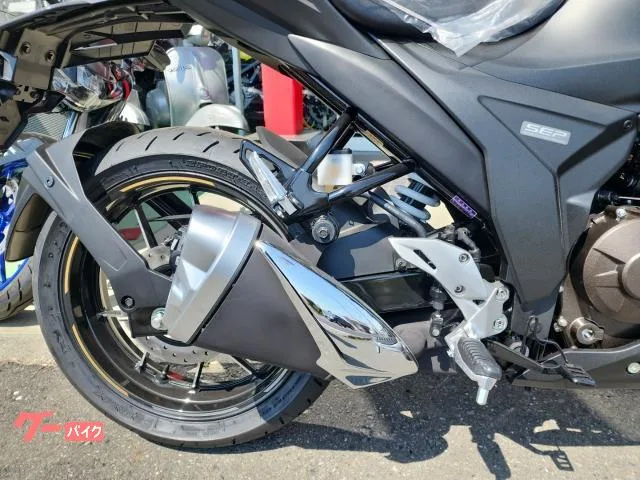Suzuki GIXXER SF 250 2023 2023 — миниатюра 2