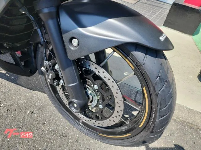 Suzuki GIXXER SF 250 2023 2023 — миниатюра 3