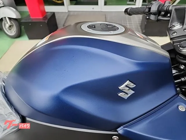 Suzuki GIXXER SF 250 2023 2023 — миниатюра 2