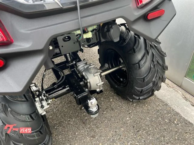 Buggy MXU300 2025 — миниатюра 2
