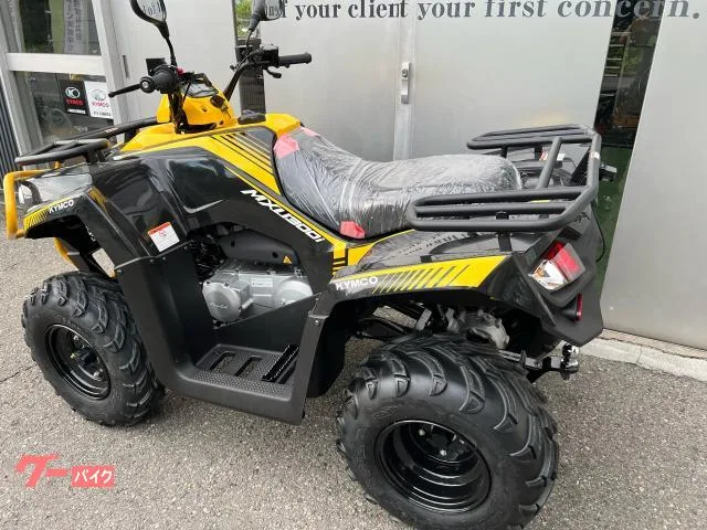 Buggy MXU300 2025 — миниатюра 3