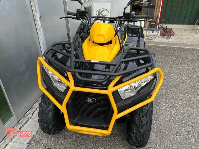 Buggy MXU300 2025 — миниатюра 4
