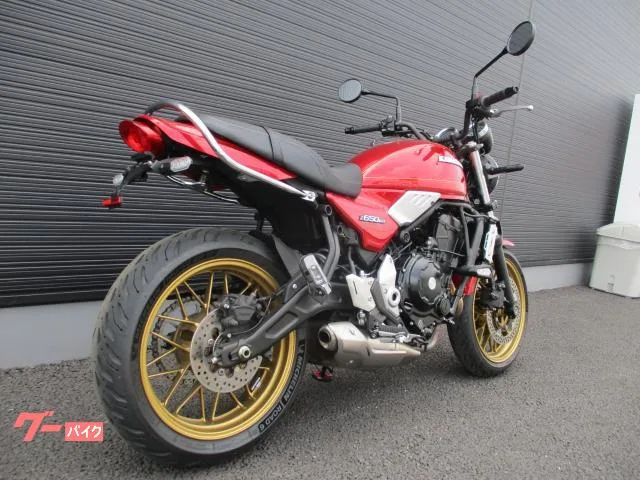 Kawasaki Z650RS 2024 — миниатюра 3
