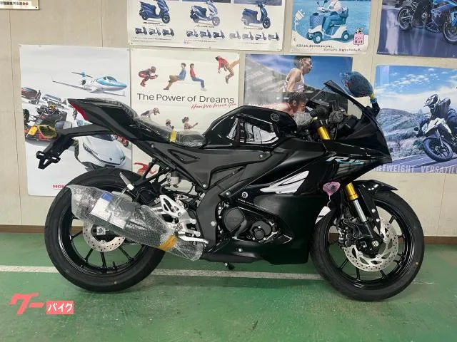 Yamaha YZF-R15 2023 — фото 1, купить с доставкой в Москву