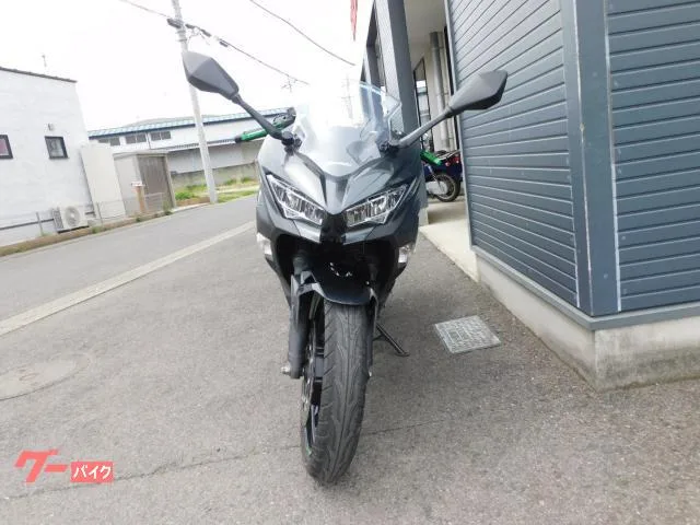 Kawasaki Ninja 250 2022 — миниатюра 5