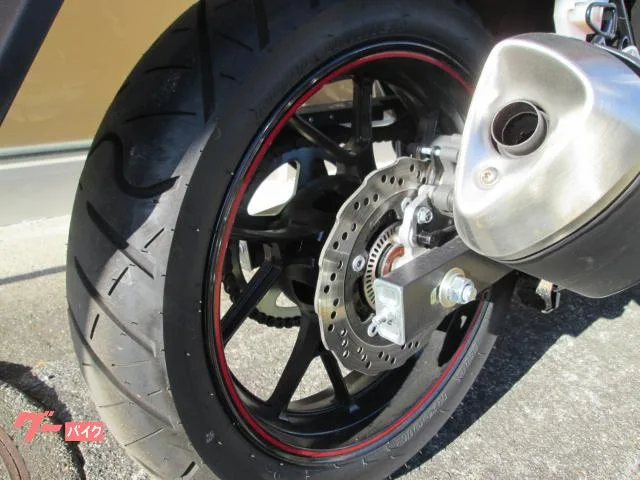 Suzuki V- 250 2023 — миниатюра 2