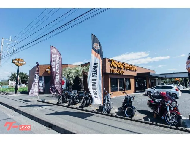 HARLEY-DAVIDSON FXBB 117 2025 — миниатюра 3
