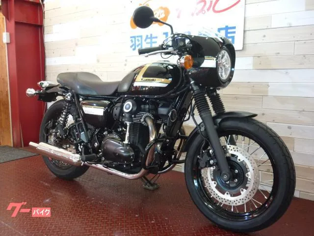 Kawasaki W800 ETC 2022 — миниатюра 2