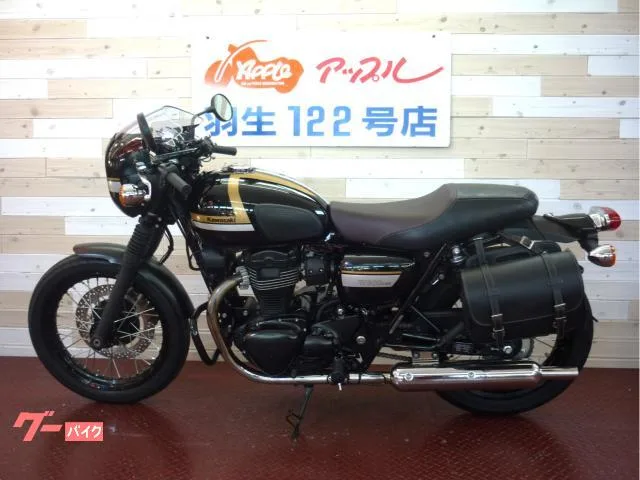 Kawasaki W800 ETC 2022 — миниатюра 4