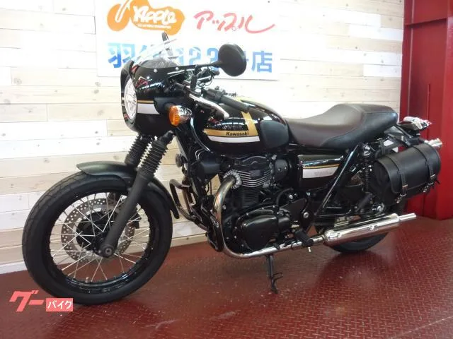Kawasaki W800 ETC 2022 — миниатюра 5