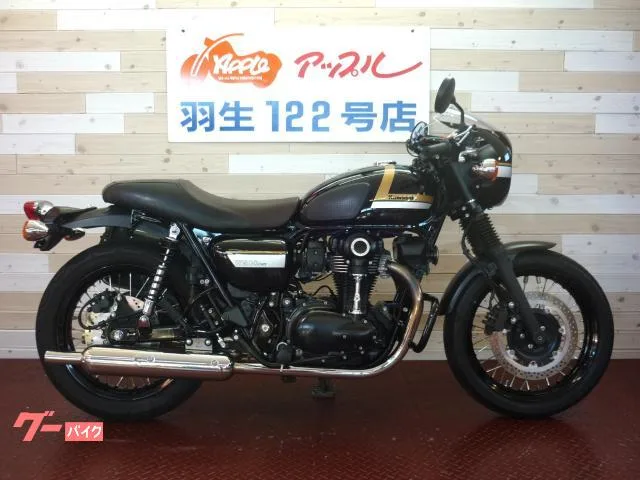 Kawasaki W800 ETC 2022 — фото 1, купить с доставкой в Москву