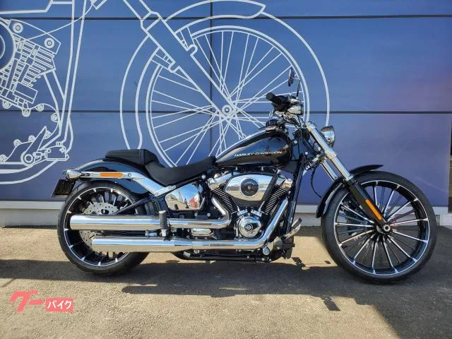 HARLEY-DAVIDSON FXBR 2025 — фото 1, купить с доставкой в Москву