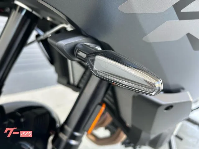 BMW F900XR ESA 2024 — миниатюра 4