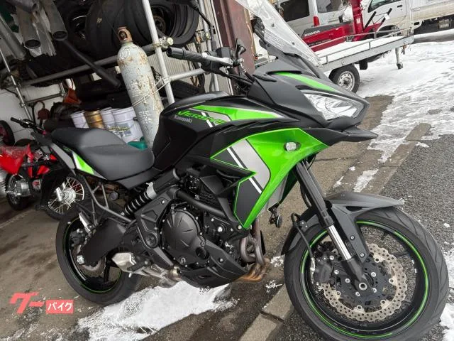 Kawasaki Versys 650 2024 2024 — фото 1, купить с доставкой в Москву