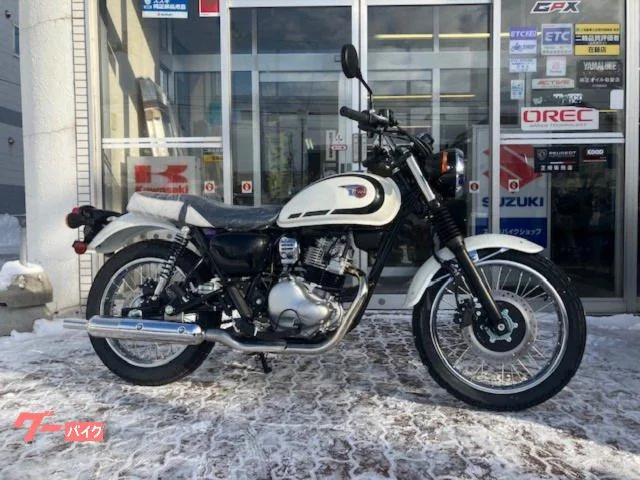 Kawasaki W230 2025 2025 — фото 1, купить с доставкой в Москву